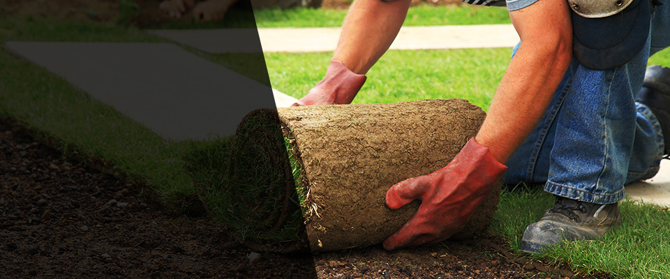 San Andreas Landscapers